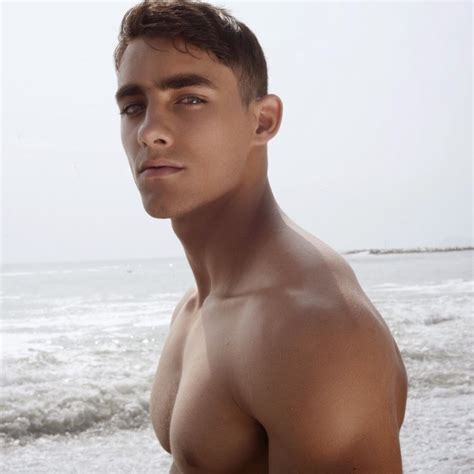 gay escort limburg|Gay Escorts Limburg 